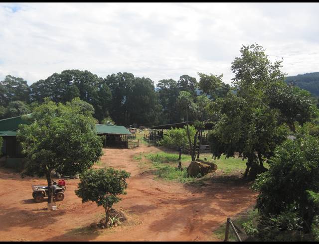 82HA FARM FOR SALE IN NELSPRUIT RURAL